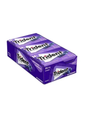 Display Trindent Bluberry 12x25,2g
