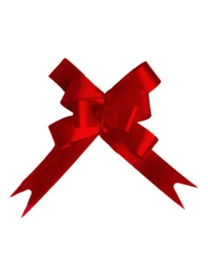 Laço Facil Metal Vermelho c/10UN