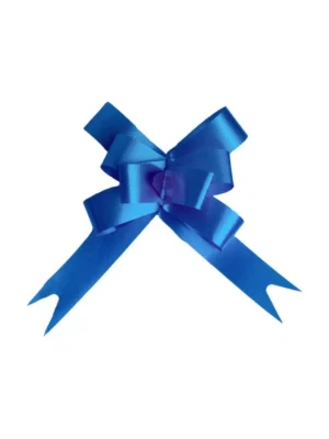 Laço Facil Liso Azul Escuro c/10UN