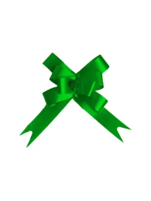 Laço Facil Liso Verde Escuro c/10UN